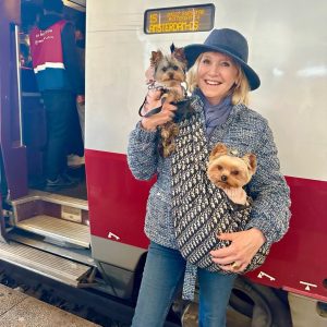 designer diordog bag