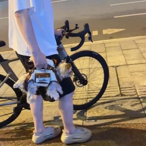 hands free shoulder yorkie carrier yorkies gram