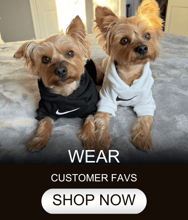WEAR Yorkie (600 × 700px)